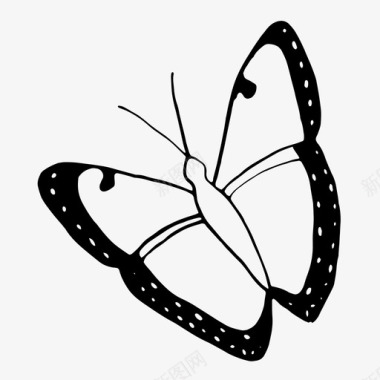 蝴蝶虫子春天图标图标