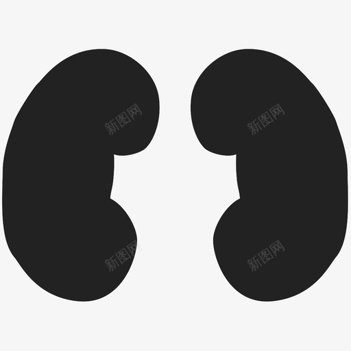 泌尿系统svg_新图网 https://ixintu.com 泌尿系统