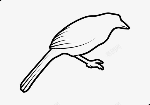 喜鹊座-描边svg_新图网 https://ixintu.com 喜鹊座-描边