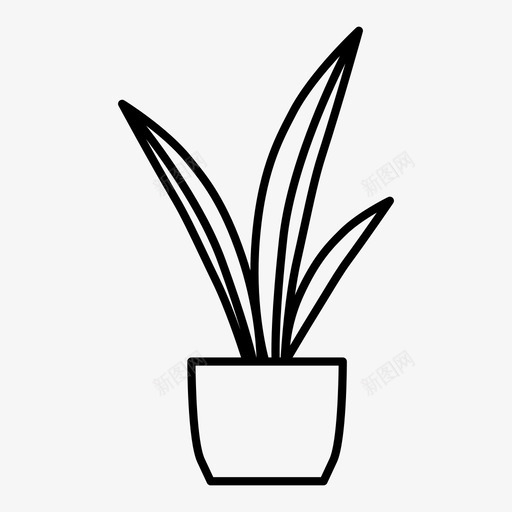 sansevieria生物植物学图标svg_新图网 https://ixintu.com sansevieria 家庭植物学 植物学 生物 盆栽植物 花园