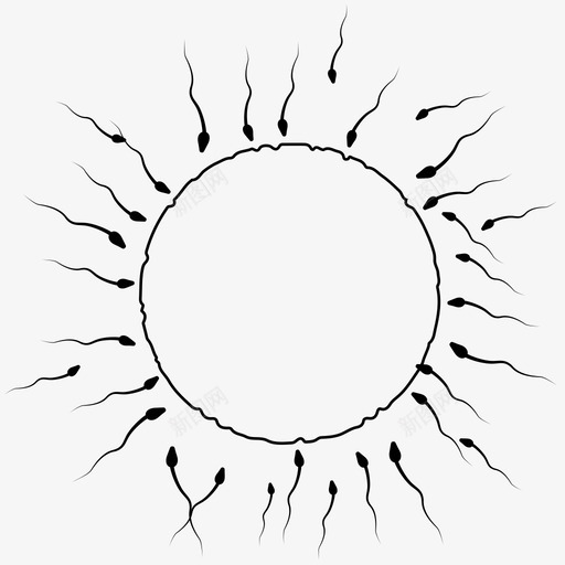 受精卵精子图标svg_新图网 https://ixintu.com 卵 受精 精子