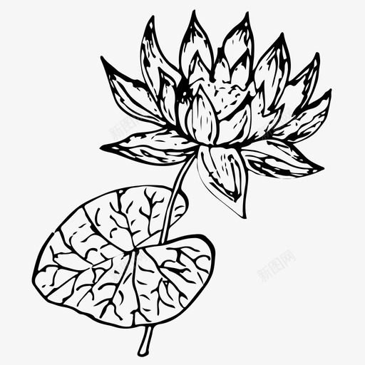 睡莲花湖图标svg_新图网 https://ixintu.com 手绘 沼泽 湖 睡莲 素描 花