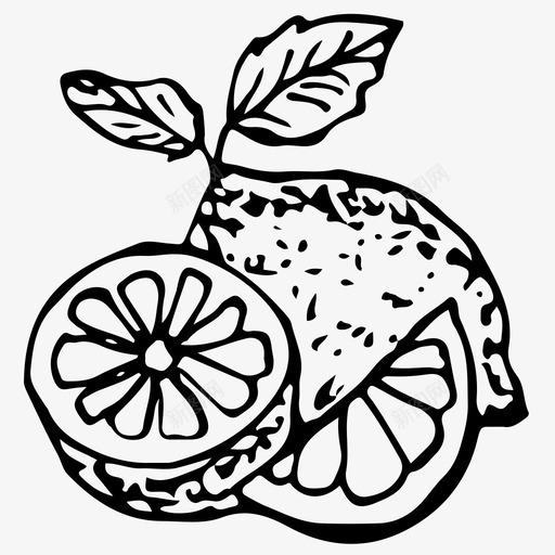 柠檬柑橘食物图标svg_新图网 https://ixintu.com 手绘 柑橘 柠檬 水果 素描 食物