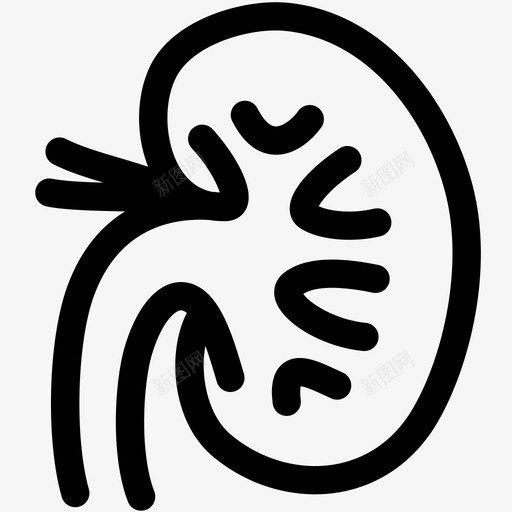 肾脏内脏器官图标svg_新图网 https://ixintu.com 内脏 医学概要 器官 肾脏