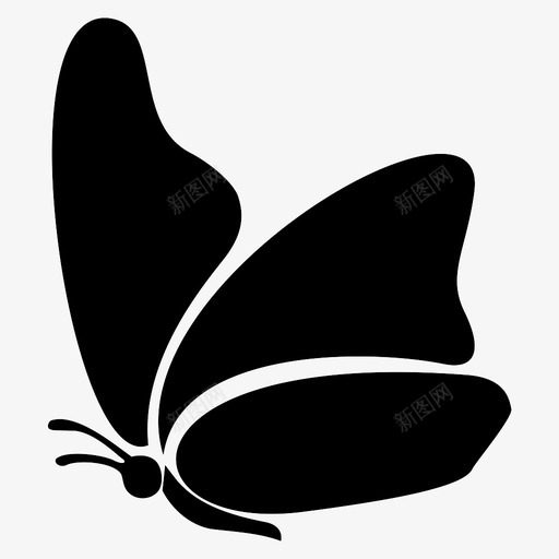 蝴蝶飞翔昆虫图标svg_新图网 https://ixintu.com 昆虫 翅膀 蝴蝶 飞翔