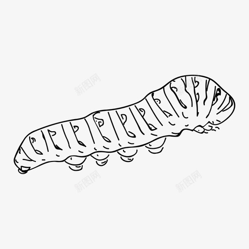 毛毛虫虫子昆虫图标svg_新图网 https://ixintu.com 手绘 昆虫 毛毛虫 虫子