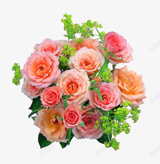 鲜花花卉很多花花朵png免抠素材_新图网 https://ixintu.com 很多花 花卉 花朵 鲜花