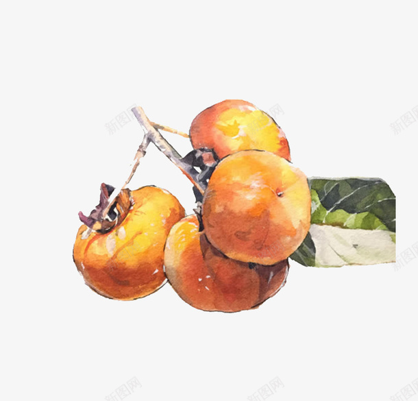 柿子手绘画png免抠素材_新图网 https://ixintu.com 卡通 手绘 手绘美食 柿子 柿子手绘画免费下载 水果 红色 食物