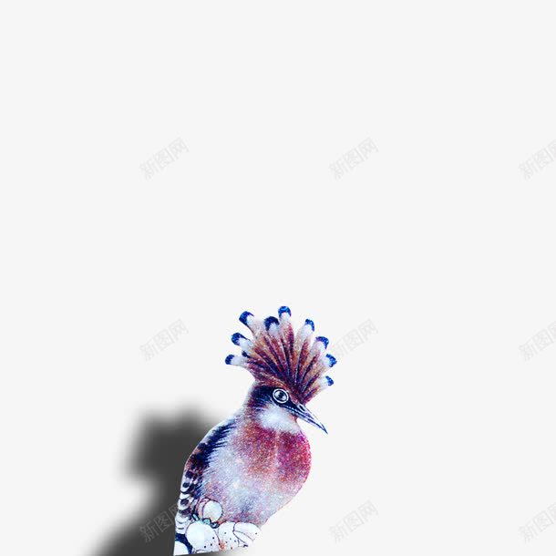 彩色的啄木鸟png免抠素材_新图网 https://ixintu.com png图形 png装饰 啄木鸟 水彩 装饰 飞禽
