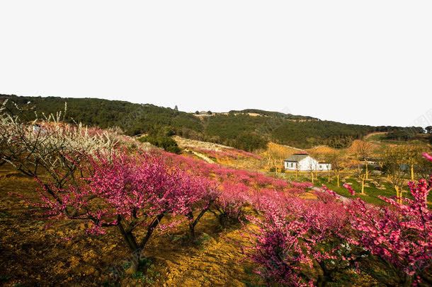 张家港香山风景区png免抠素材_新图网 https://ixintu.com 写真 名胜古迹 图片 地方景点 实物图 张家港 摄影图 江苏 风景区 香山 高清 高清图片