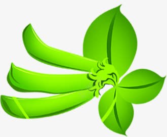 手绘绿色渐变树叶插图png免抠素材_新图网 https://ixintu.com 插图 树叶 渐变 绿色