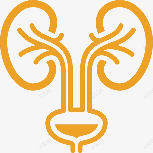 人体器官png免抠素材_新图网 https://ixintu.com 器官 生物医药 生物医药产业 生物医药展板 生物医药彩页 生物医药整容 黄色