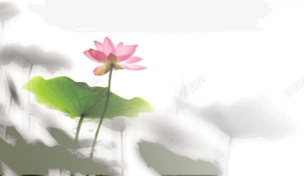 雾霾中的荷花png免抠素材_新图网 https://ixintu.com 花卉 荷花 雾霾