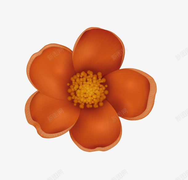彩色花朵png免抠素材_新图网 https://ixintu.com 卡通简约 扁平化 矢量图案 简约装饰 花朵 装饰图