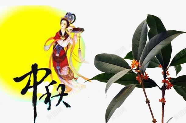 中秋欣赏桂花png免抠素材_新图网 https://ixintu.com 中秋桂花 人们 就把