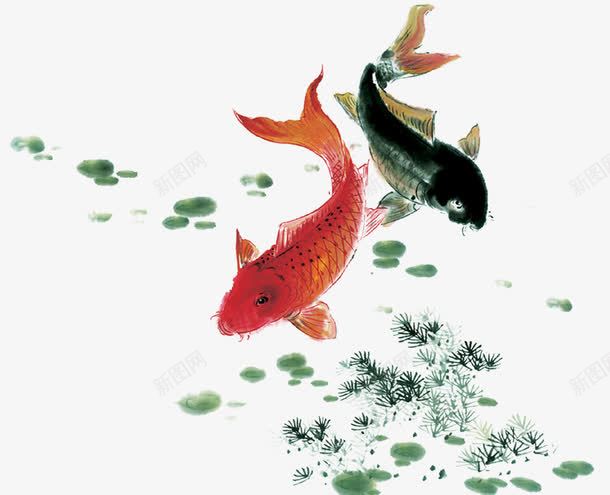 手绘鲈鱼创意插画png免抠素材_新图网 https://ixintu.com 创意 插画 鲈鱼