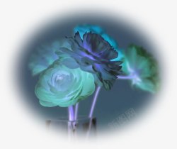 蓝色唯美夜景花朵素材