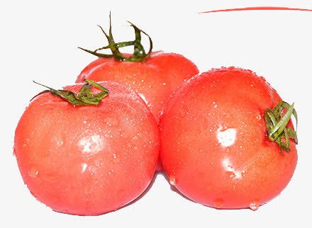 新鲜蔬菜番茄png免抠素材_新图网 https://ixintu.com 三个西红柿 番茄 蔬菜
