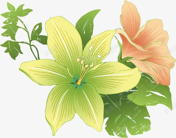 粉绿色清新手绘花朵png免抠素材_新图网 https://ixintu.com 清新 绿色 花朵