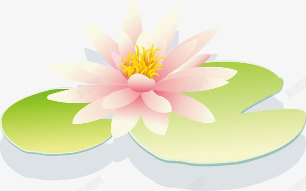 睡莲插图png免抠素材_新图网 https://ixintu.com 睡莲插图 睡莲插图矢量图 睡莲矢量图 矢量睡莲插图