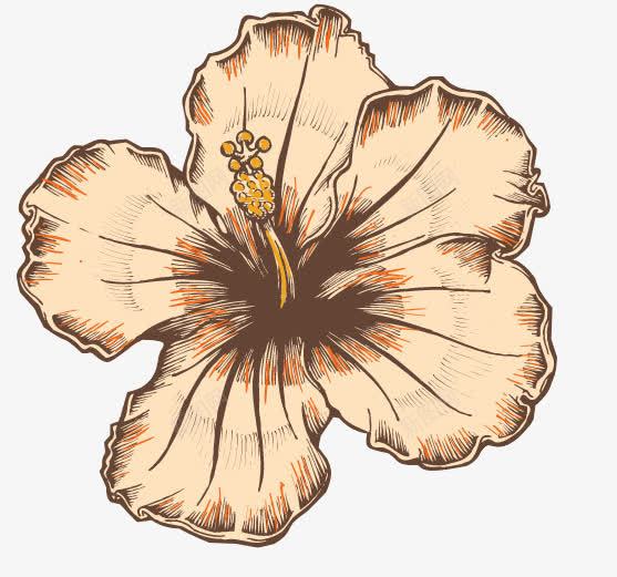 花朵png免抠素材_新图网 https://ixintu.com 复古花 夏威夷花 花朵