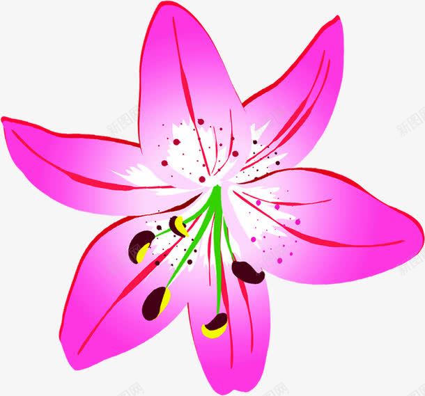 紫色唯美手绘花朵节日png免抠素材_新图网 https://ixintu.com 紫色 节日 花朵 设计