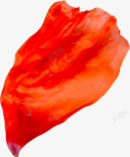 玫瑰花瓣psd花瓣png免抠素材_新图网 https://ixintu.com 心形花瓣 玫瑰花瓣 花瓣图形 花瓣飘舞 透明花瓣