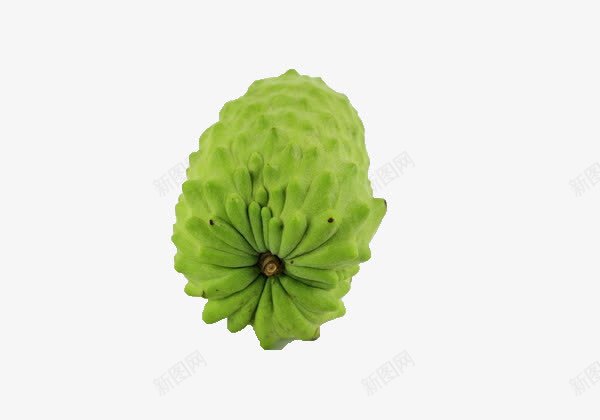 新鲜美味的蜜释迦水果png免抠素材_新图网 https://ixintu.com 番荔枝 绿色 蜜释迦水果