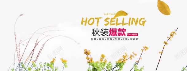 秋装爆款促销文字png免抠素材_新图网 https://ixintu.com 文字排版 爆款 秋装 花草装饰
