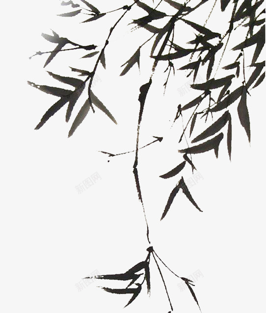 手绘柳叶png免抠素材_新图网 https://ixintu.com PNG素材 柳叶 树叶 植物
