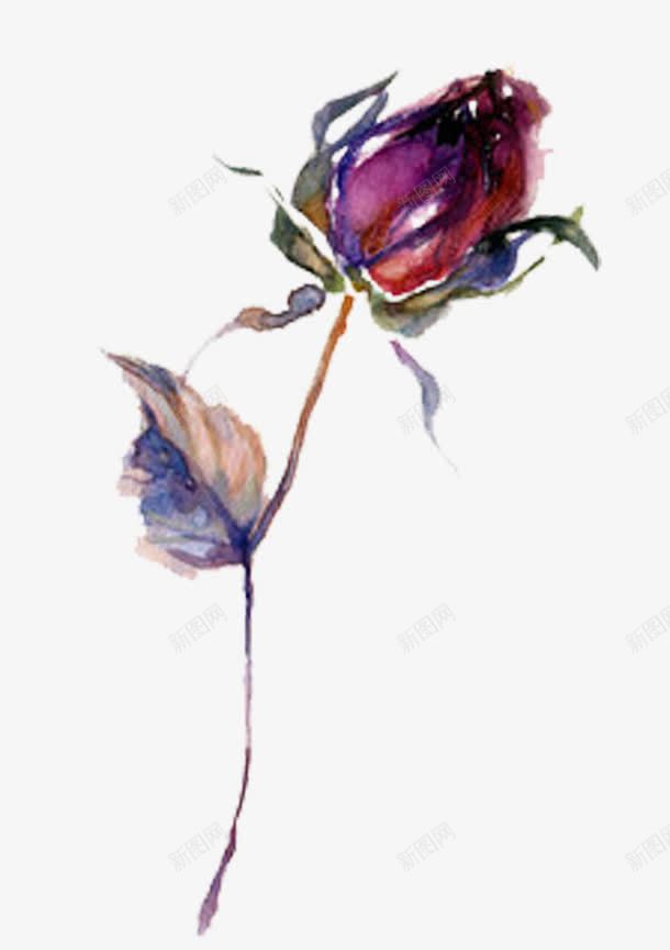 玫瑰花苞png免抠素材_新图网 https://ixintu.com 手绘 植物 水彩 玫瑰花 绿叶 花苞