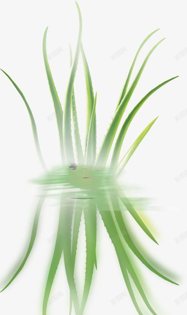 绿色清新树叶植物手绘png免抠素材_新图网 https://ixintu.com 树叶 植物 清新 绿色