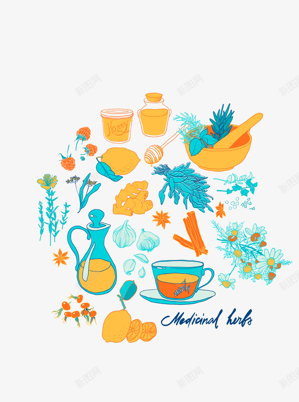 彩色唯美药草矢量图eps免抠素材_新图网 https://ixintu.com 唯美 彩色药草 矢量药草 药草素材 矢量图