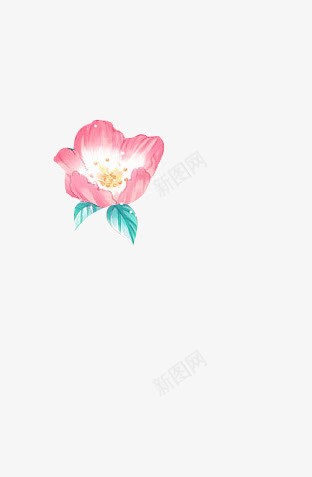 手绘粉色花朵蓝色叶子png免抠素材_新图网 https://ixintu.com 叶子 粉色 花朵 蓝色