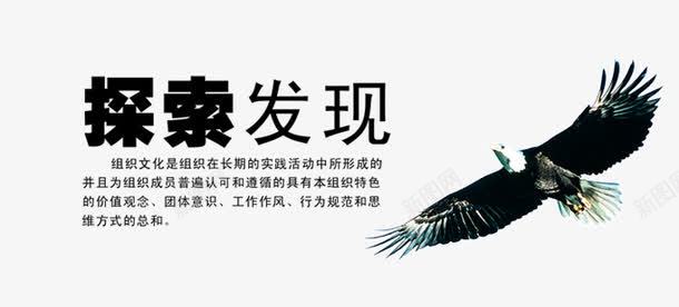 探索发现psd免抠素材_新图网 https://ixintu.com 海报 艺术字 装饰 鹰