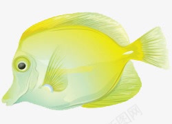 卡通手绘绿色海鱼png免抠素材_新图网 https://ixintu.com 卡通手绘 卡通水果 绿色海鱼