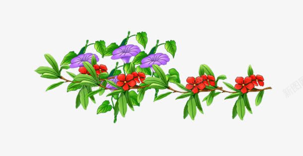 紫色牵牛花png免抠素材_新图网 https://ixintu.com 牵牛花 紫色 红色