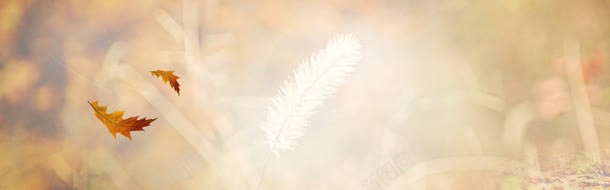 轮播背景海报淘宝广告淘宝png免抠素材_新图网 https://ixintu.com banner 淘宝 淘宝广告 淘宝简约大气通用轮播banner 轮播背景海报
