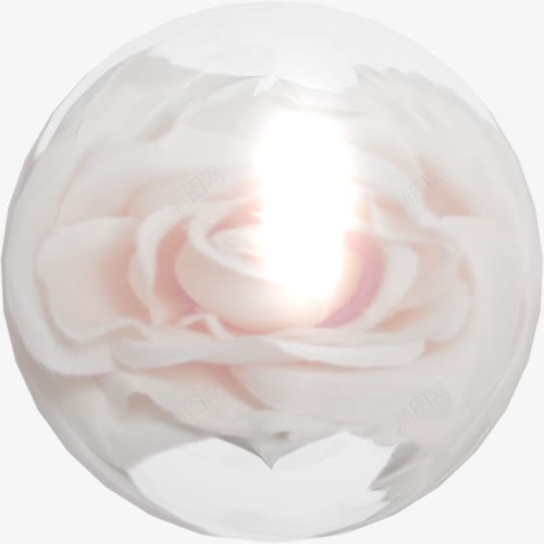 白玫瑰花瓣png免抠素材_新图网 https://ixintu.com 白玫瑰 粉嫩 花朵瓣 鲜花