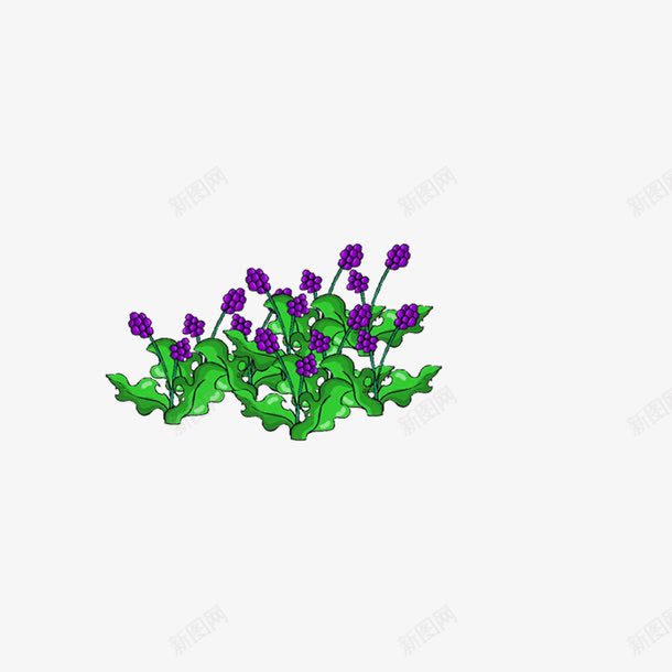 前景装饰花草png免抠素材_新图网 https://ixintu.com 前景装饰 花草