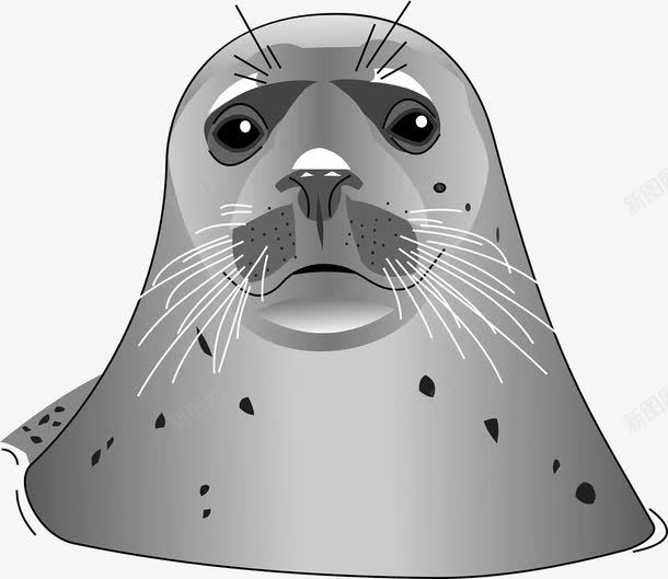 露出水面的海豹png免抠素材_新图网 https://ixintu.com 水面 海报 灰色 生物