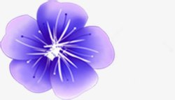 手绘紫色浪漫花朵植物春天素材