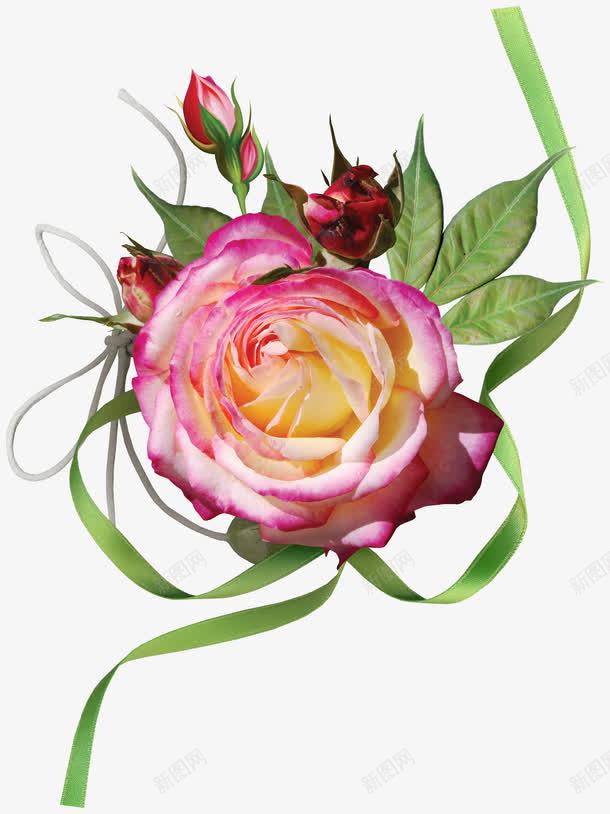 花朵摆设png免抠素材_新图网 https://ixintu.com 一束花 摆设 背景装饰 鲜花