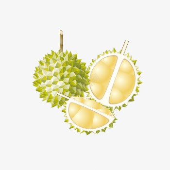 榴莲水果png免抠素材_新图网 https://ixintu.com 下载 免费 榴莲 水果
