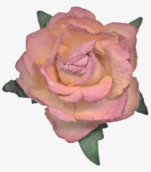 卡通粉色花朵花卉png免抠素材_新图网 https://ixintu.com 卡通手绘 玫瑰 粉色花朵 花卉