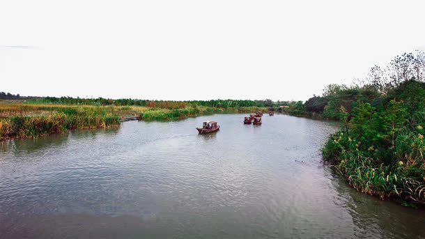 水乡湿地游船风景png免抠素材_新图网 https://ixintu.com 名胜古迹 地方景点 实物图 摄影图 水乡 游船 湿地 风景 高清