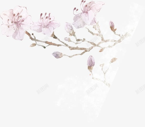 手绘唯美韩版花朵png免抠素材_新图网 https://ixintu.com 花朵