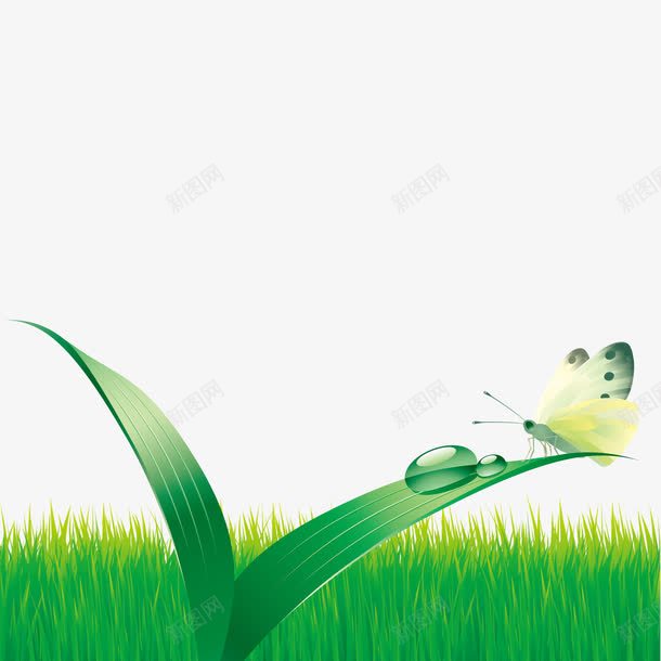 清晨带着露水的青草地png免抠素材_新图网 https://ixintu.com