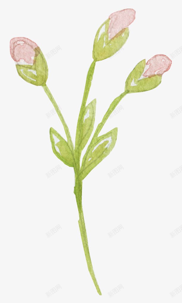 手绘小草png免抠素材_新图网 https://ixintu.com 叶子 小草 手绘 花朵 花苞