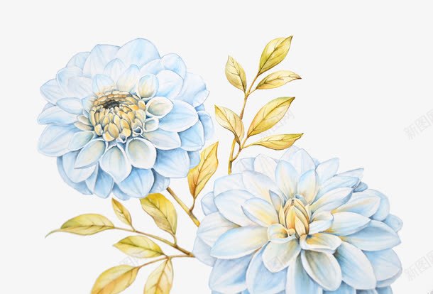 手绘蓝色繁花png免抠素材_新图网 https://ixintu.com 手绘 花卉 花朵 蓝色